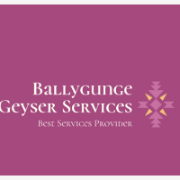 Ballygunge Geyser Services