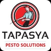 Tapasya Pesto Solutions 