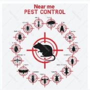 Near Me Pest Control Services