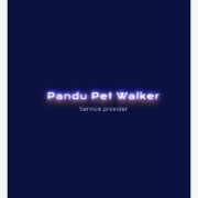 Pandu Pet Walker