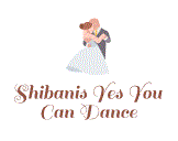 Shibanis Yes You Can Dance