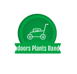 Bloomindoors Plants Bandra West