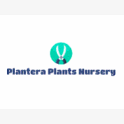 Plantera Plants Nursery