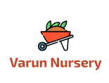 Varun Nursery