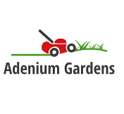 Adenium Gardens