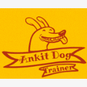 Ankit Dog Trainer 