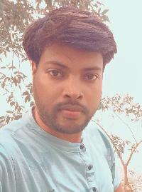 C M Mosquito Net Service