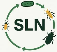 S.L.N Professional Pest Control