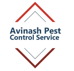 Avinash Pest Control Service