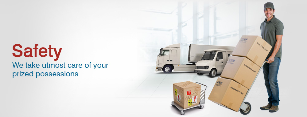 Safety Cargo Movers And Packers