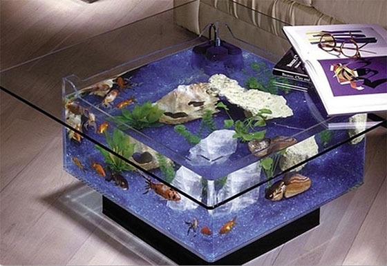 Innovative aquariums