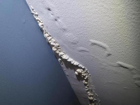 seepage damaged wall
