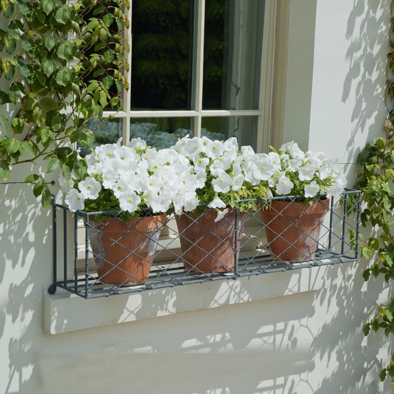 planters on railing