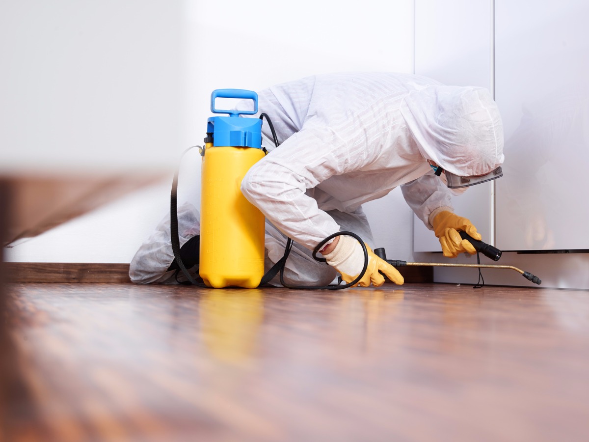 A pest exterminator carrying out a professional bedbug control treatment