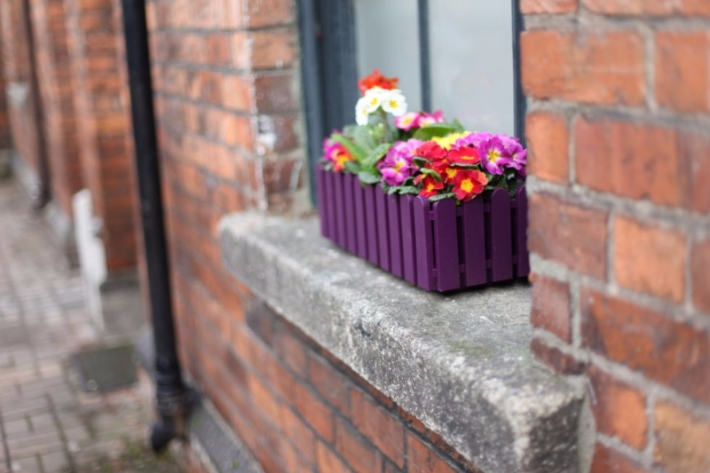 purple planter on a ledge