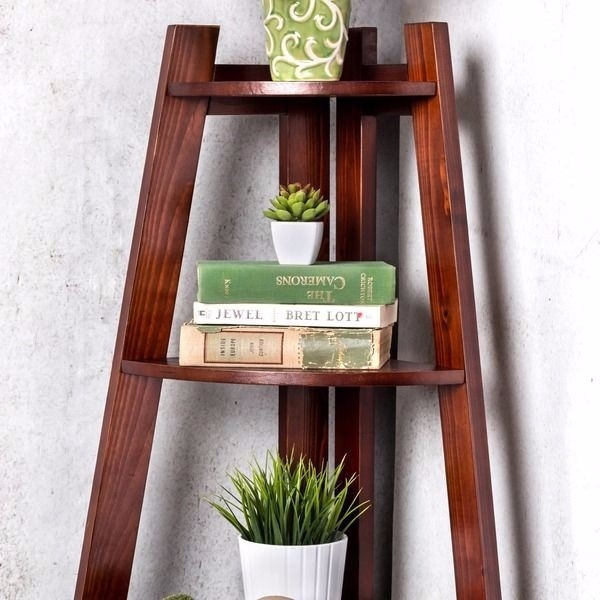 Ladder converted into a shelf
