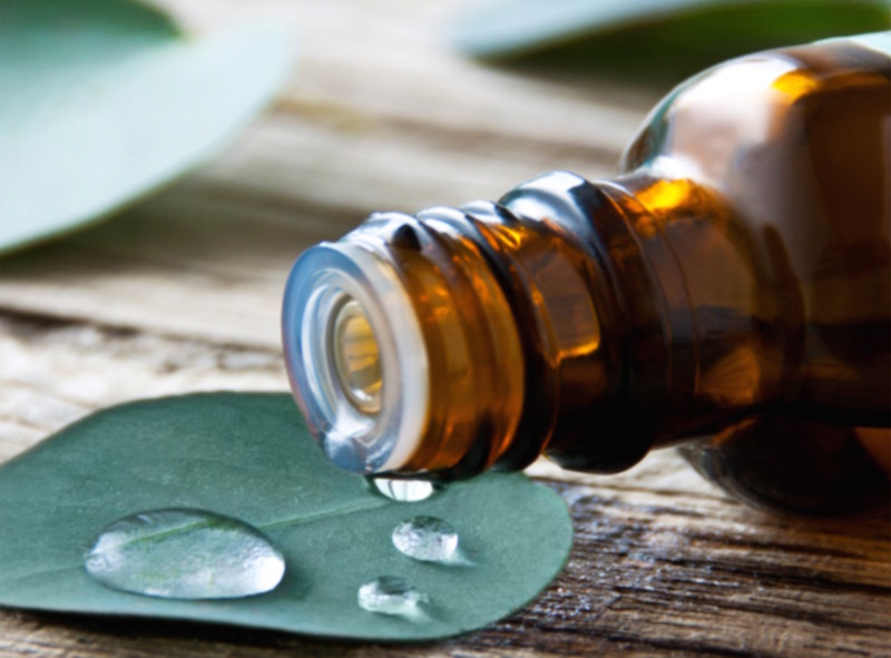 eucalyptus oil