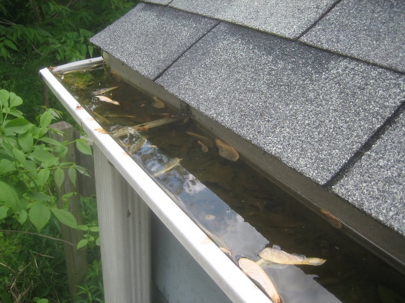 water in roof gutter
