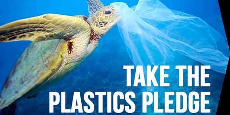 Empowering Actions Against Plastic