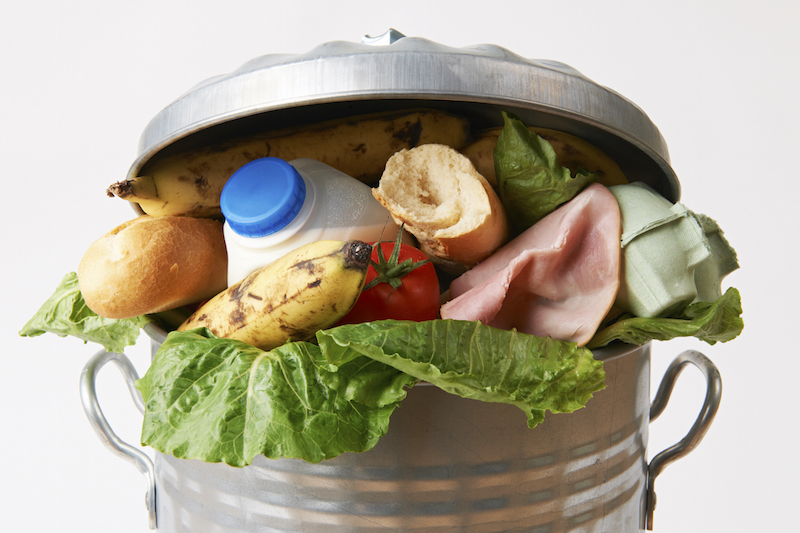 compost bin