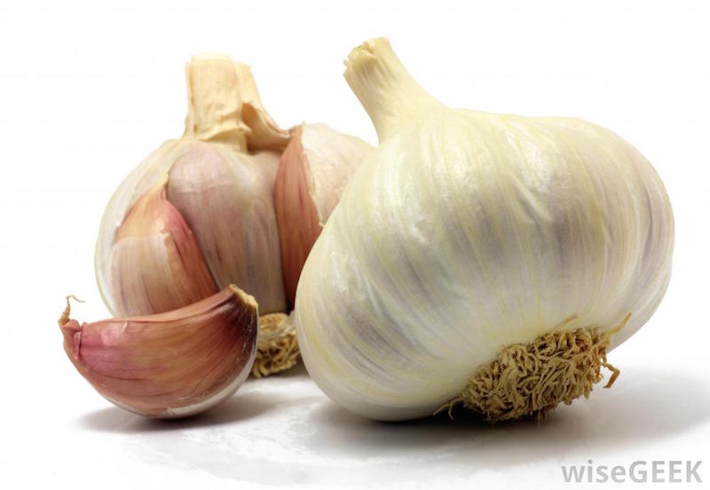 garlic