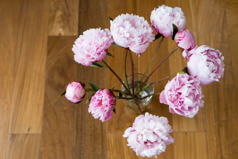 flowers with shorter stems