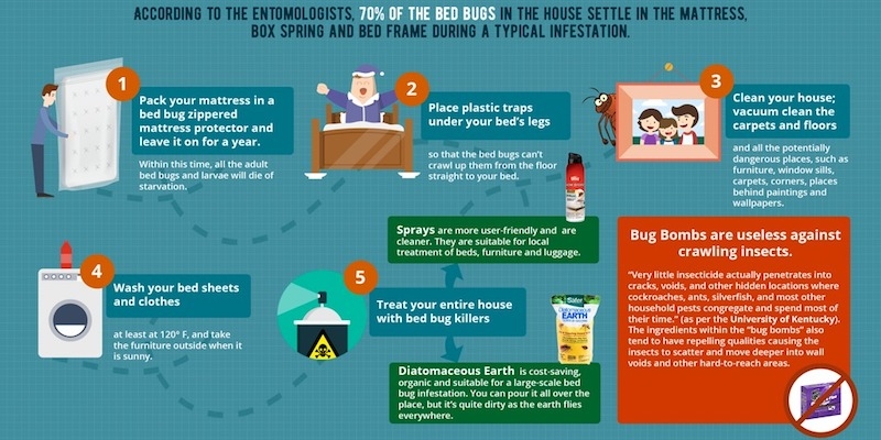  how to control bed bug