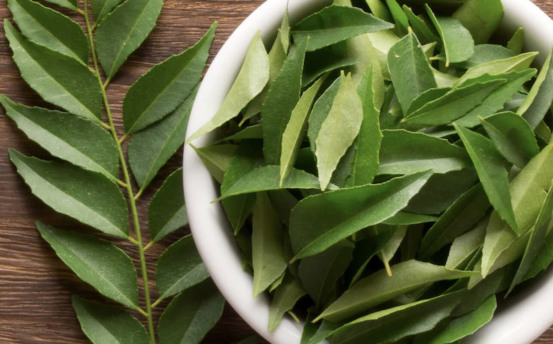 Curry Leaves or Kadi Patta