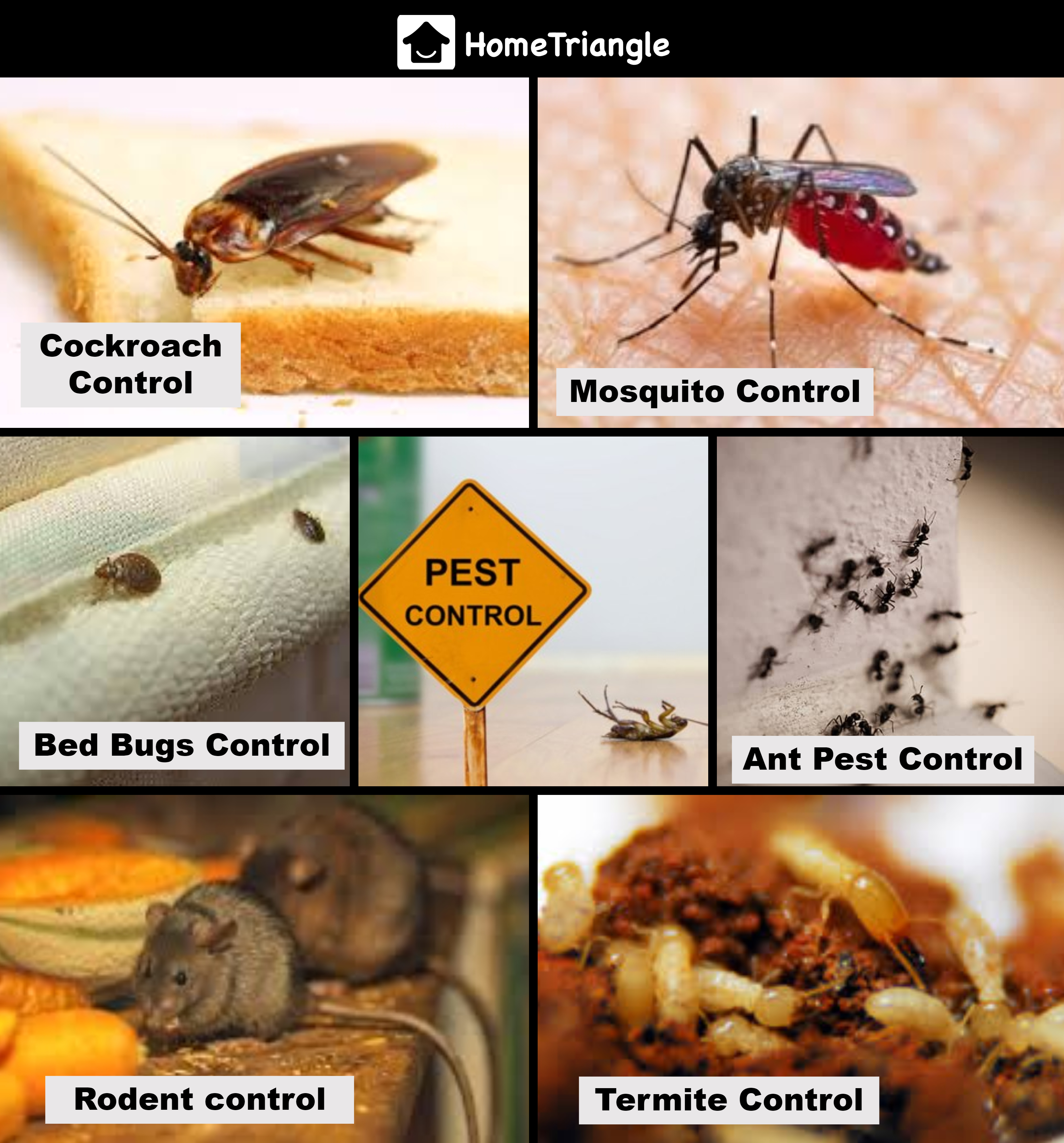 Pest Control Utah County