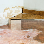 Flood or Water Damage Restoration in Noida