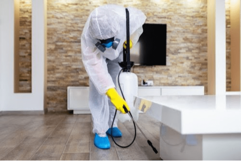 cleaning services at home