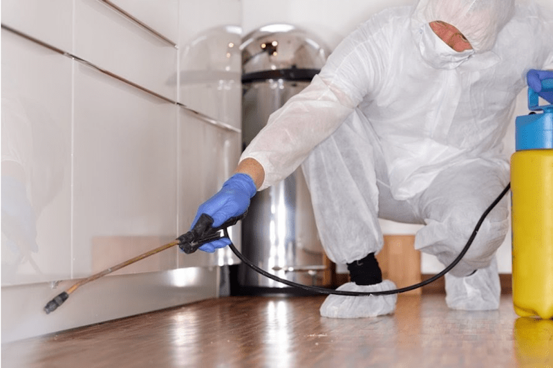 man sanitizing a sofa