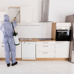 General Pest Control in Gurgaon