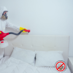 Bed Bug Control in Jaipur