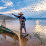 Invisible Bird Net in Coimbatore