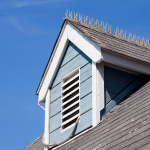 Polycarbonate Bird Spikes in Delhi