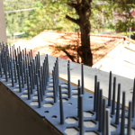 Stainless Steel Bird Spikes in Hyderabad