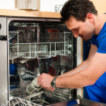 Dishwasher Cleaning Service in Noida