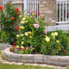 Specific Gardening in Mysore