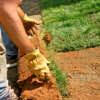 Soil Enhancement in West Godavari