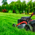 Lawn Care and Maintenance in Mysore