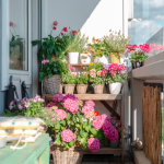 Balcony Gardening in undefined