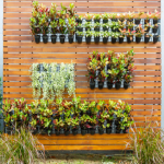 Vertical Gardening in Madurai