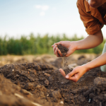 Soil Preparation in Parvathipuram Manyam