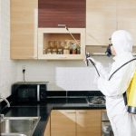 Bungalow Pest Control (Includes Utensil Removal) in Hyderabad