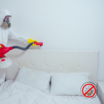 Bed Bug Control in Bangalore