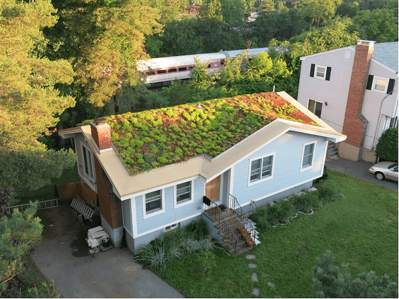 toma una foto Casi soldadura The Many Advantages Of Having A Green Roof