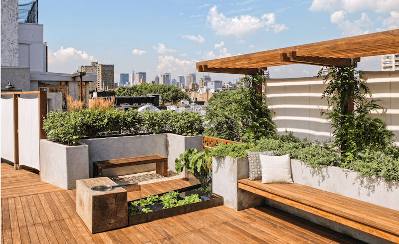 Expert Tips For Your Rooftop Garden