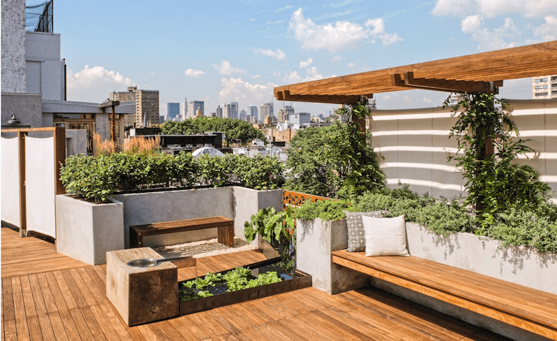 expert tips for your rooftop garden hometriangle