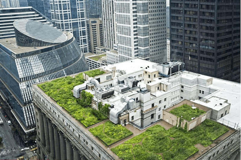 Rooftop Garden